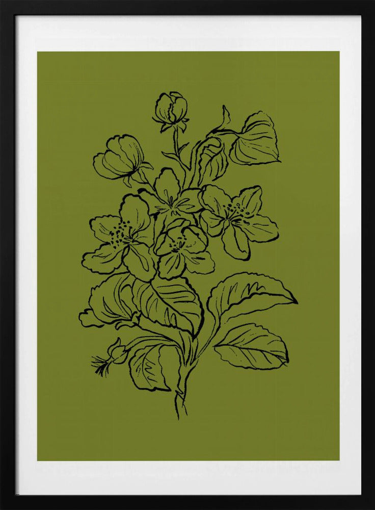 Botanical Elegance | Poster