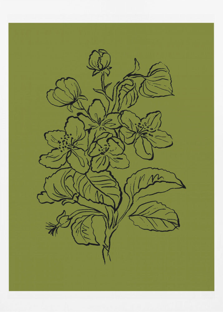 Botanical Elegance | Poster