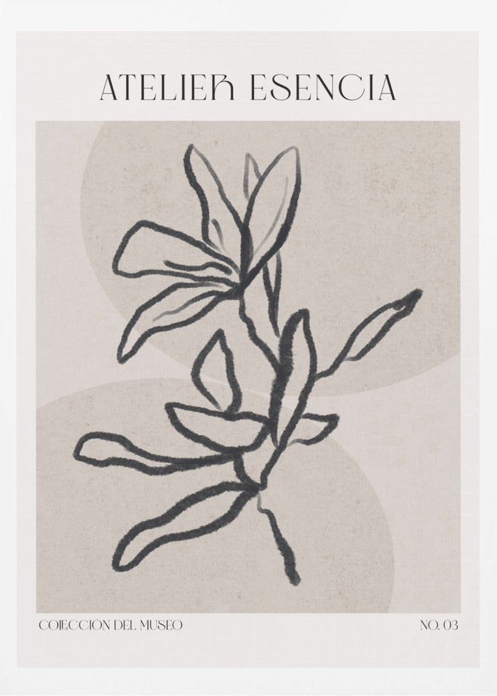 Graceful Botanics | Poster