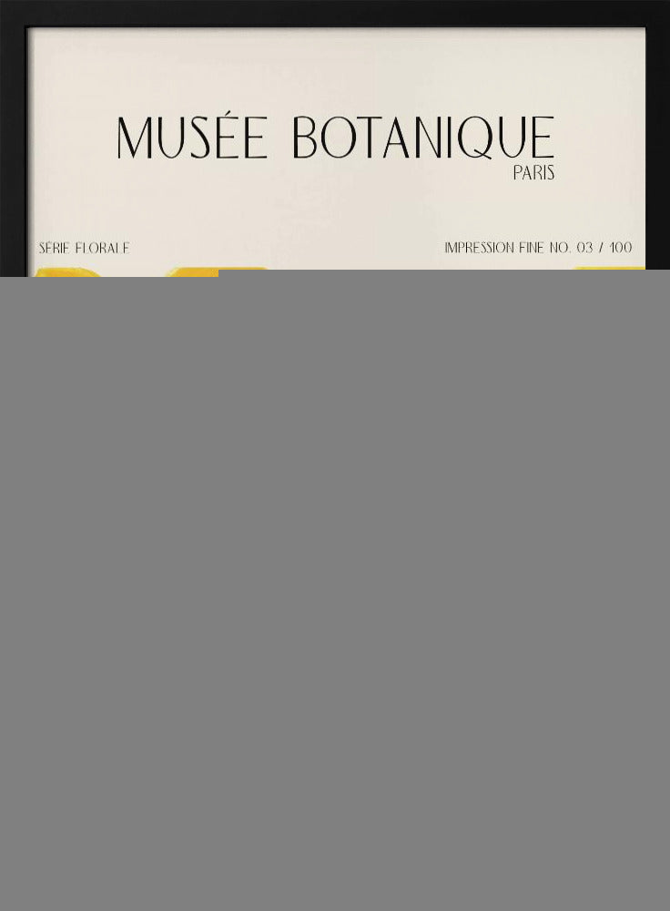 Museebotaniqueno03 | Poster