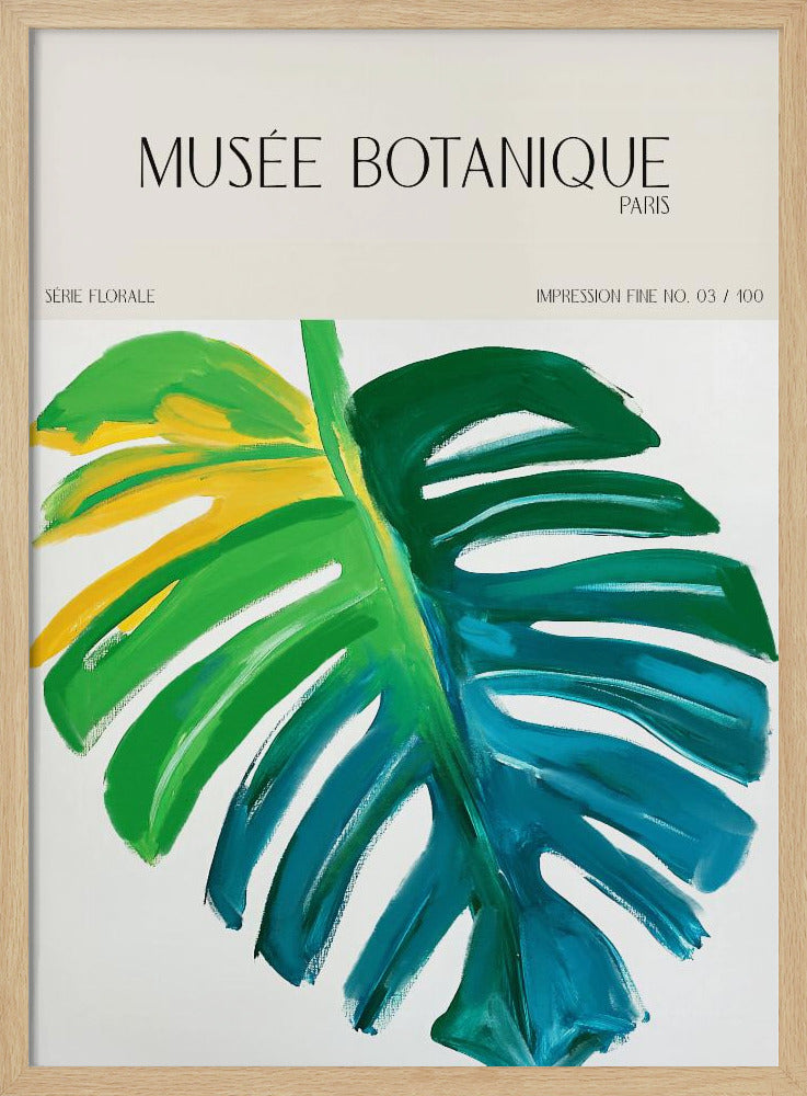 Museebotaniqueno07 | Poster