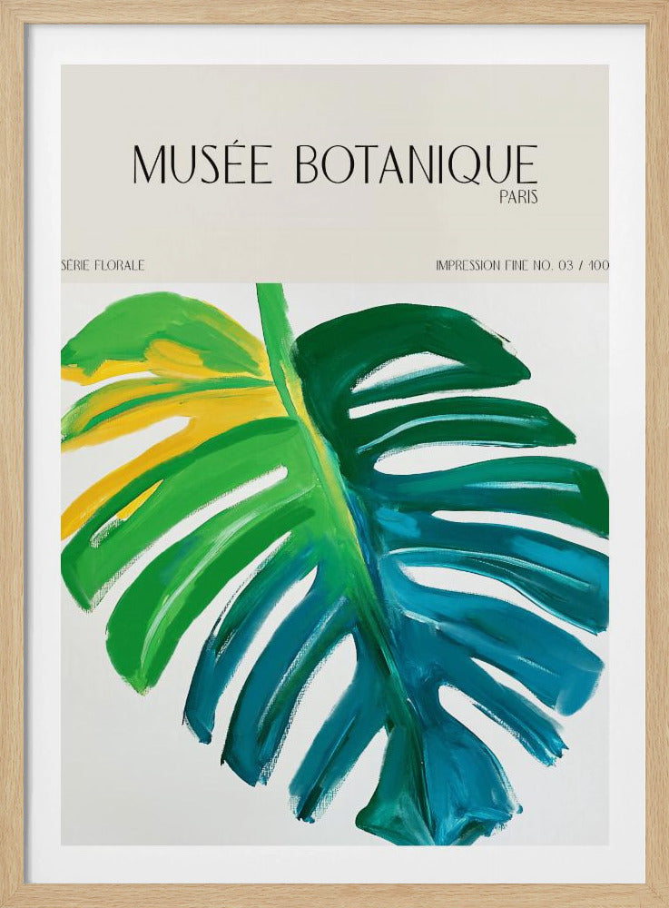 Museebotaniqueno07 | Poster