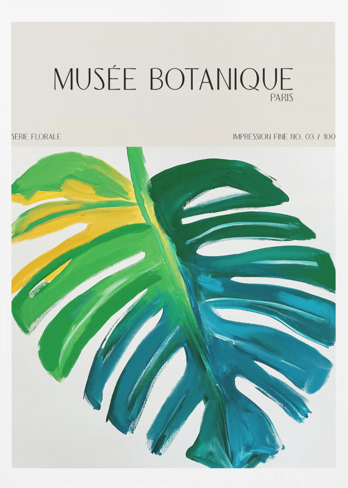Museebotaniqueno07 | Poster
