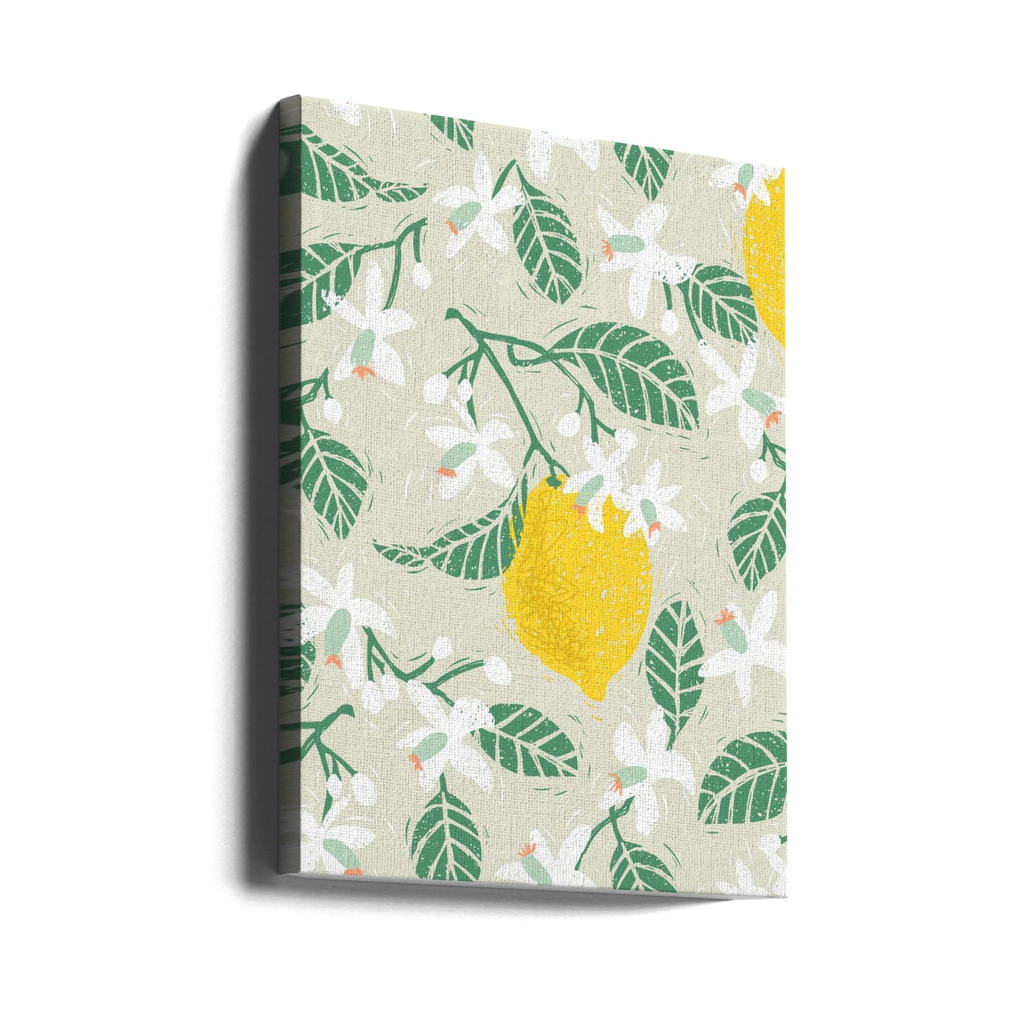 Lemon tree blossoms | Canvas