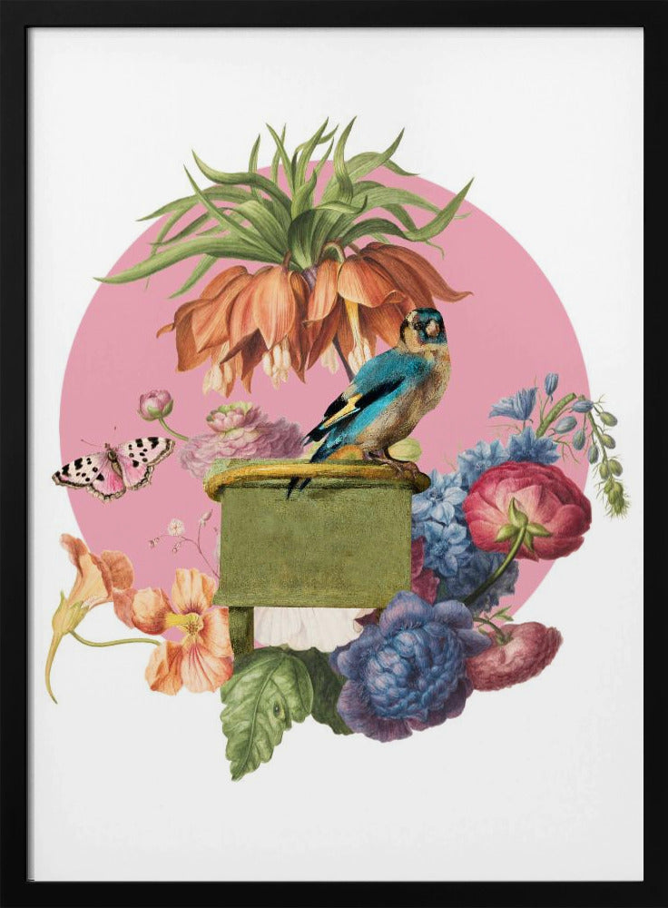 Bunter Vogel auf einer Kiste | Poster