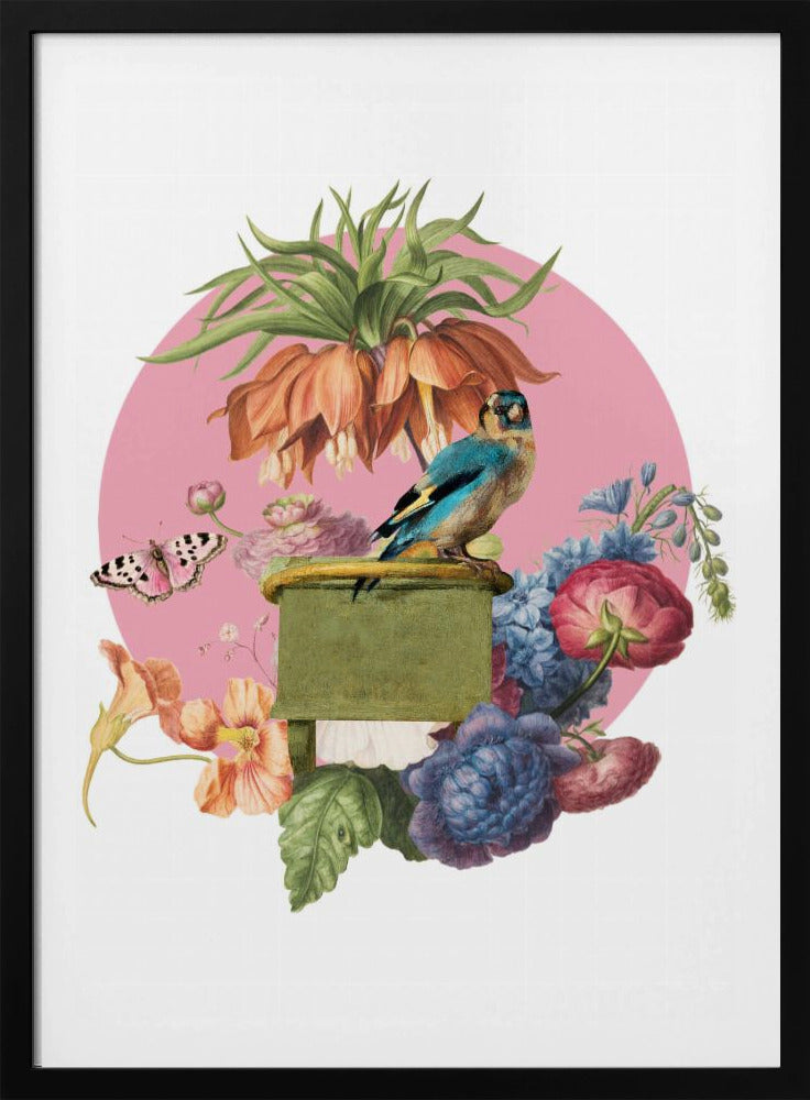Bunter Vogel auf einer Kiste | Poster