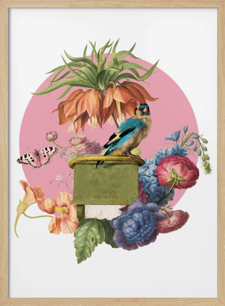 Bunter Vogel auf einer Kiste | Poster