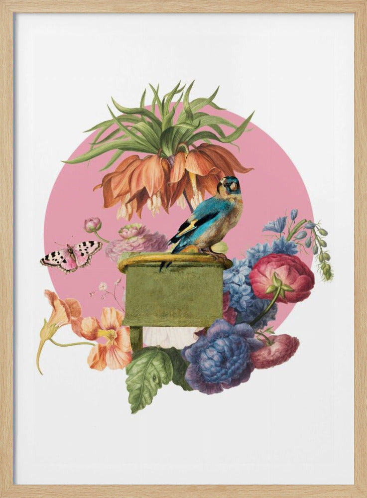 Bunter Vogel auf einer Kiste | Poster