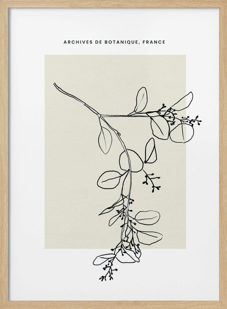 Abstractbotanicsno26 | Poster