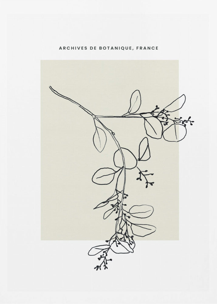 Abstractbotanicsno26 | Poster