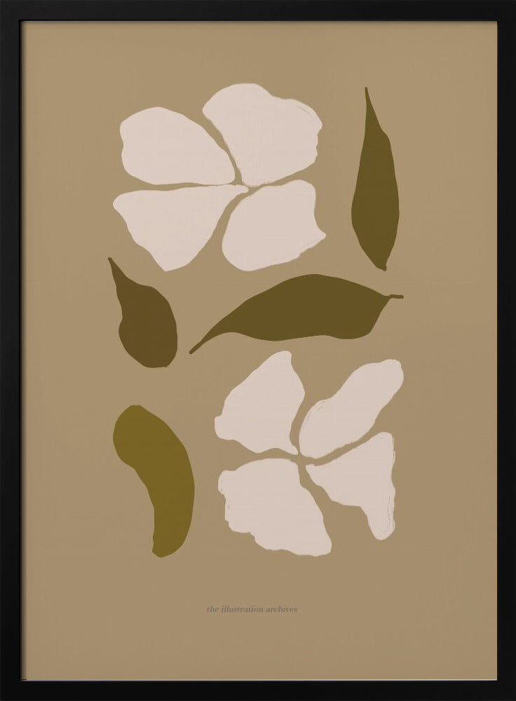 Scandilineno03 | Poster