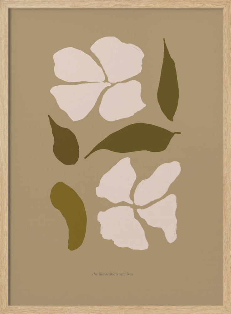 Scandilineno03 | Poster