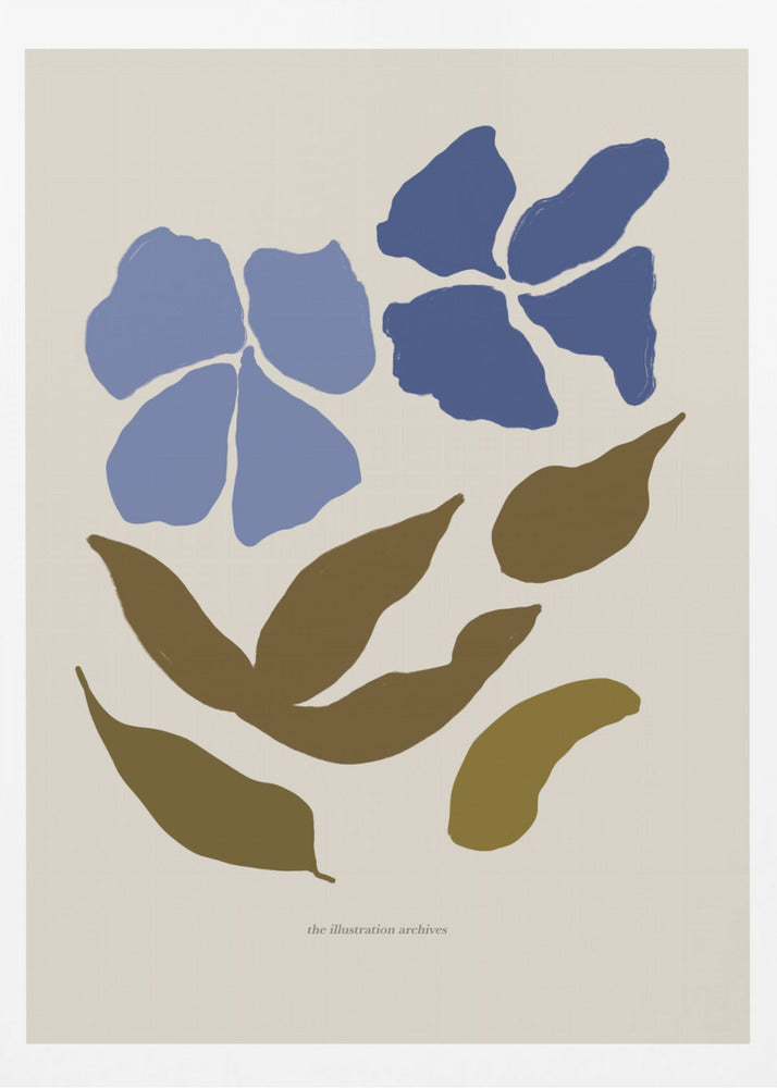 Scandilineno07 | Poster