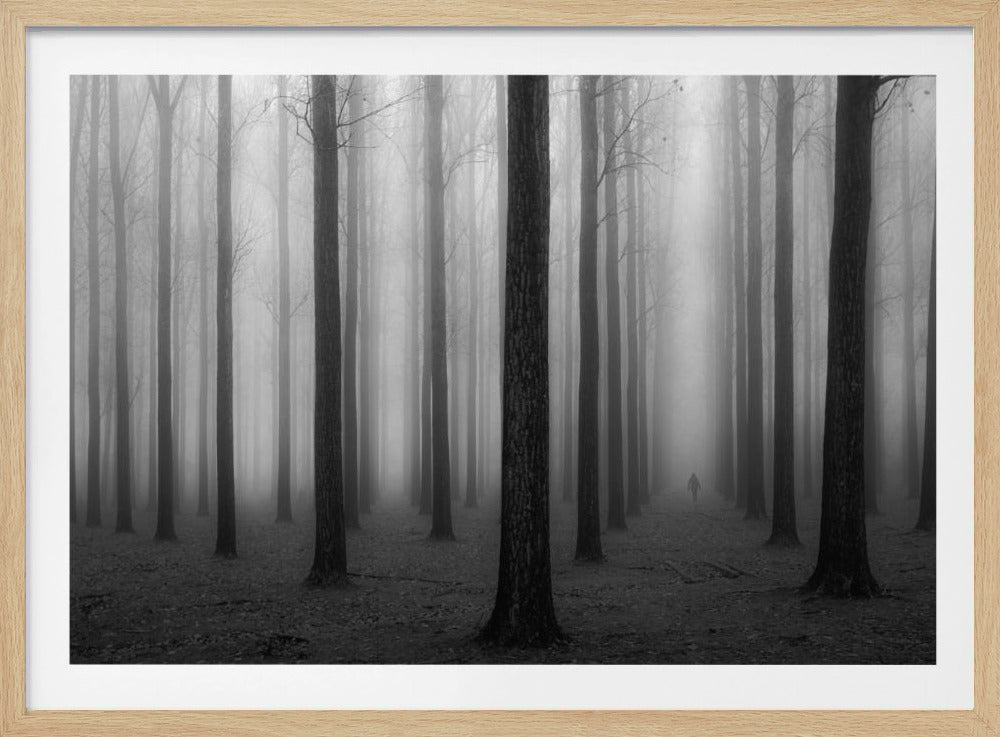 En la niebla | Posters - Impresiones de Arte