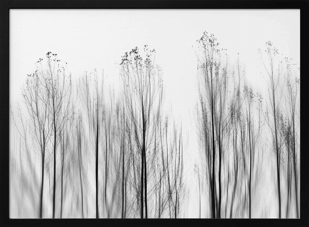 Kein Grund | Poster - Kunstdruck