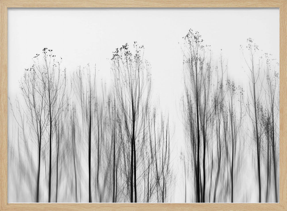 Kein Grund | Poster - Kunstdruck