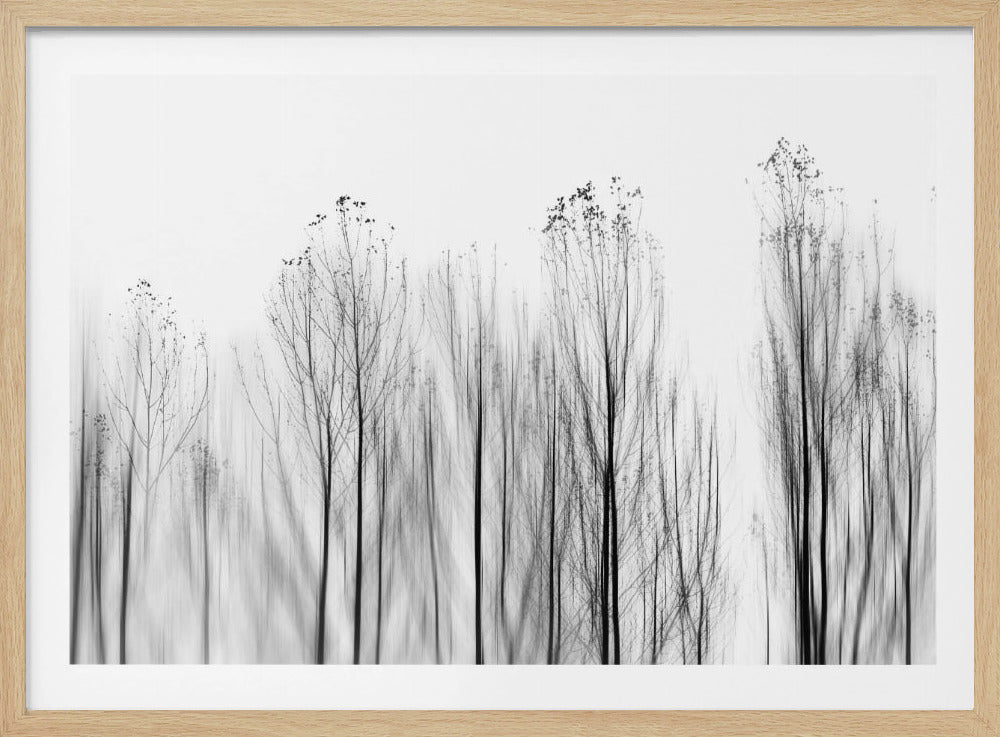 Kein Grund | Poster - Kunstdruck