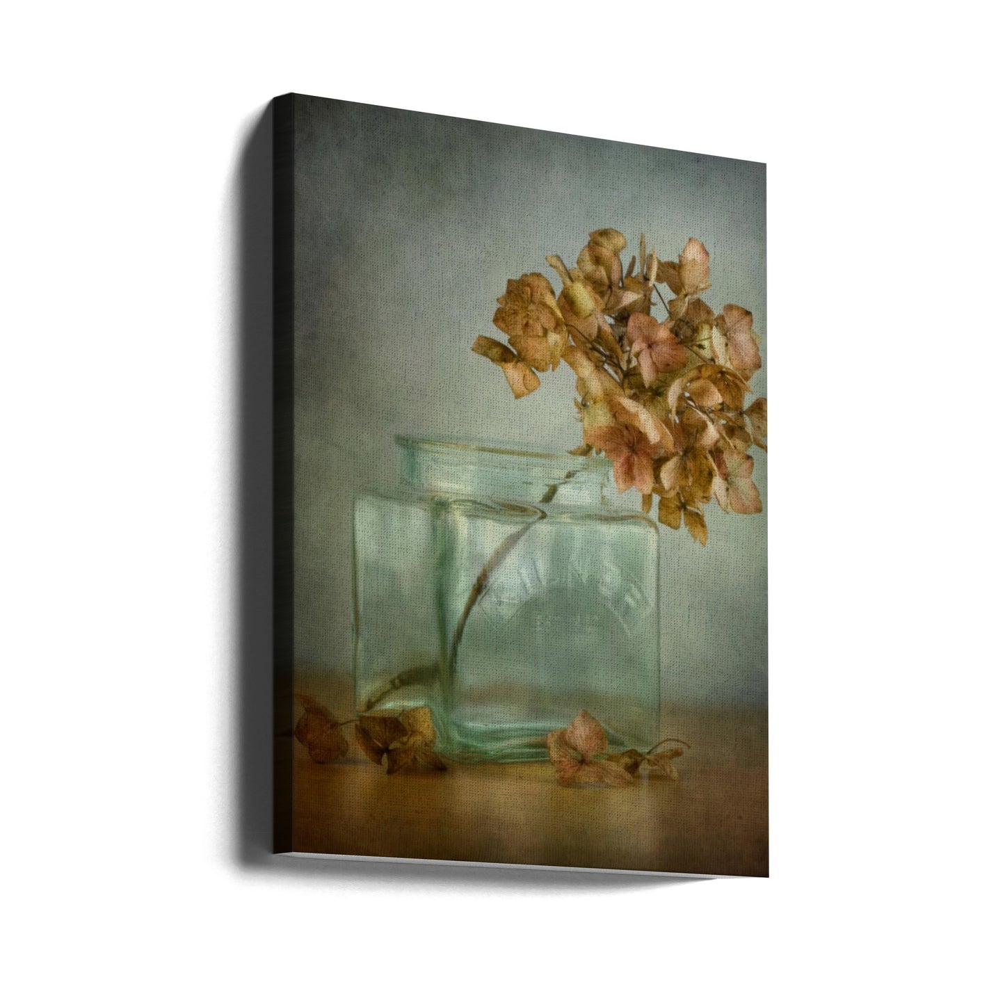Hydrangea | Canvas