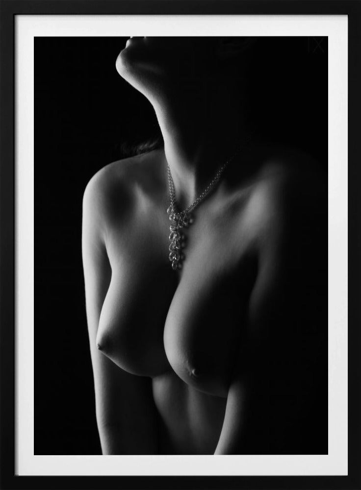 Nude curves | Poster