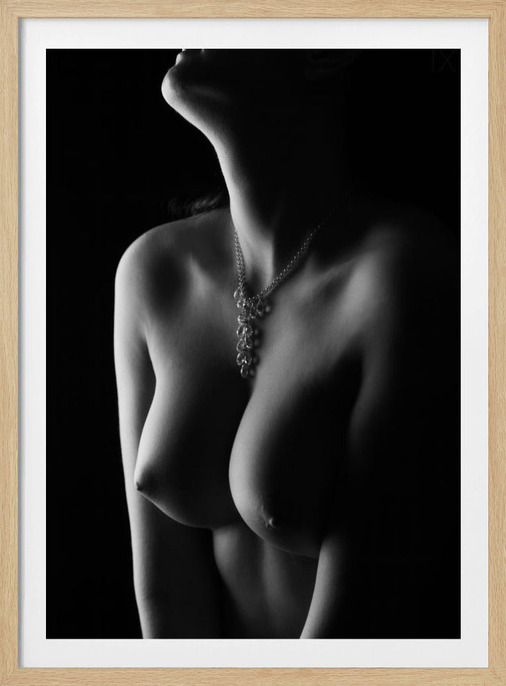 Nude curves | Poster