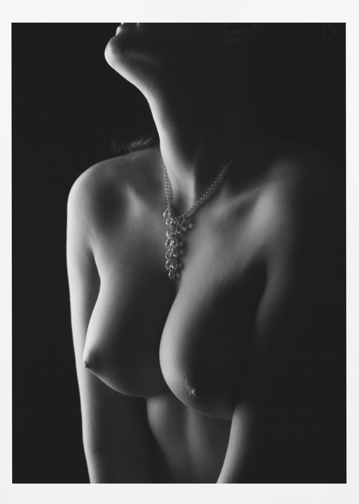 Nude curves | Poster