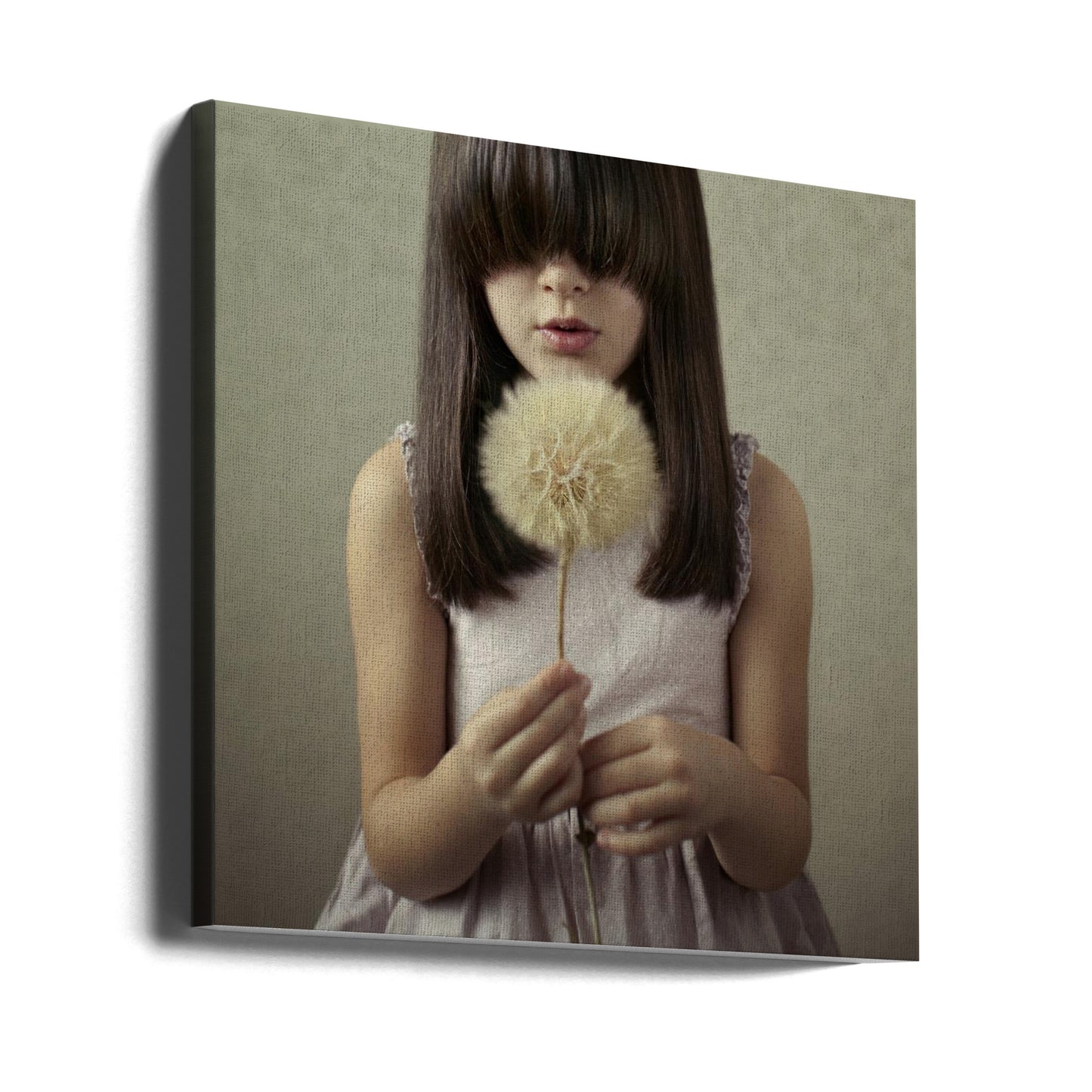 Secret Wishes | Canvas
