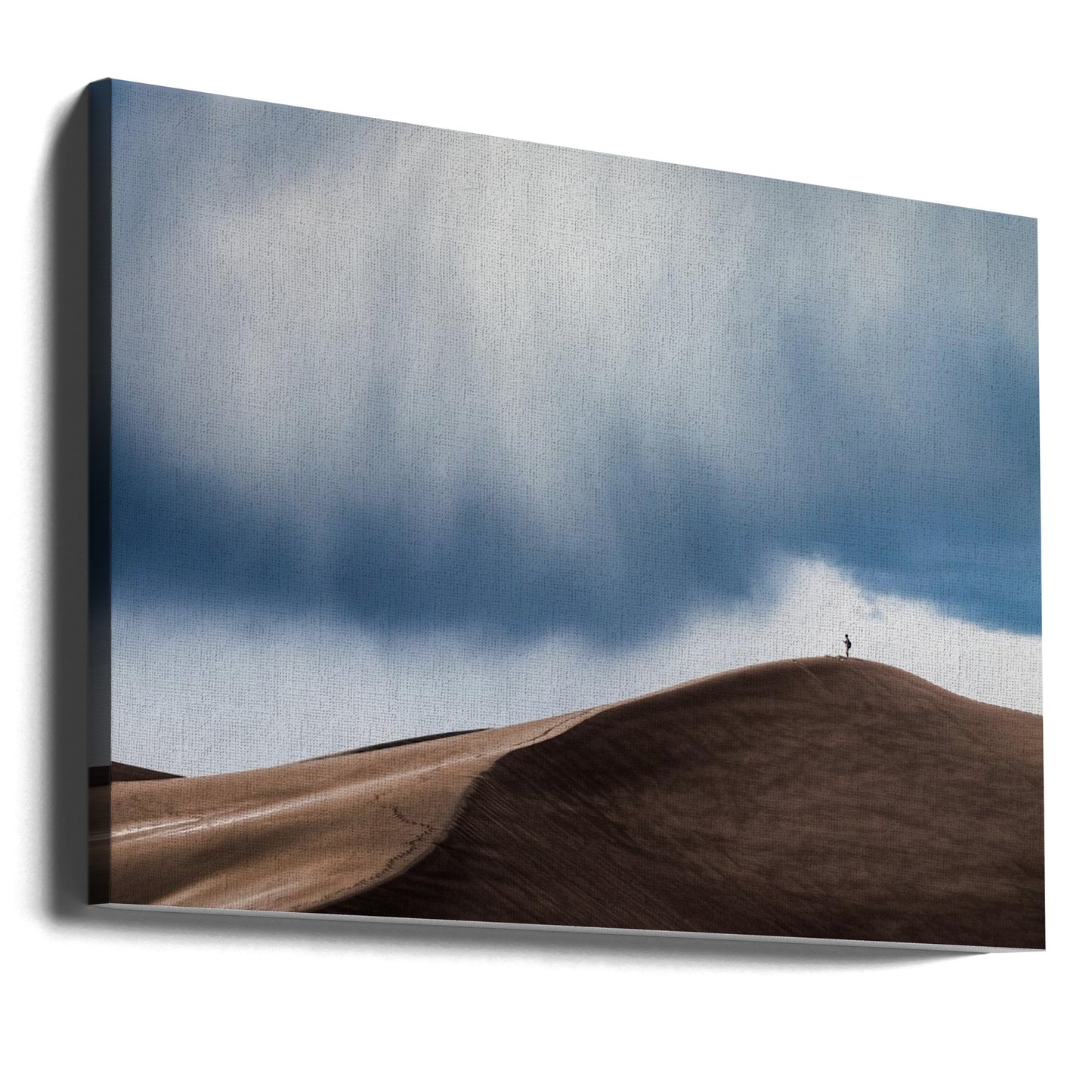 Stormjeger | Lerretsbilder