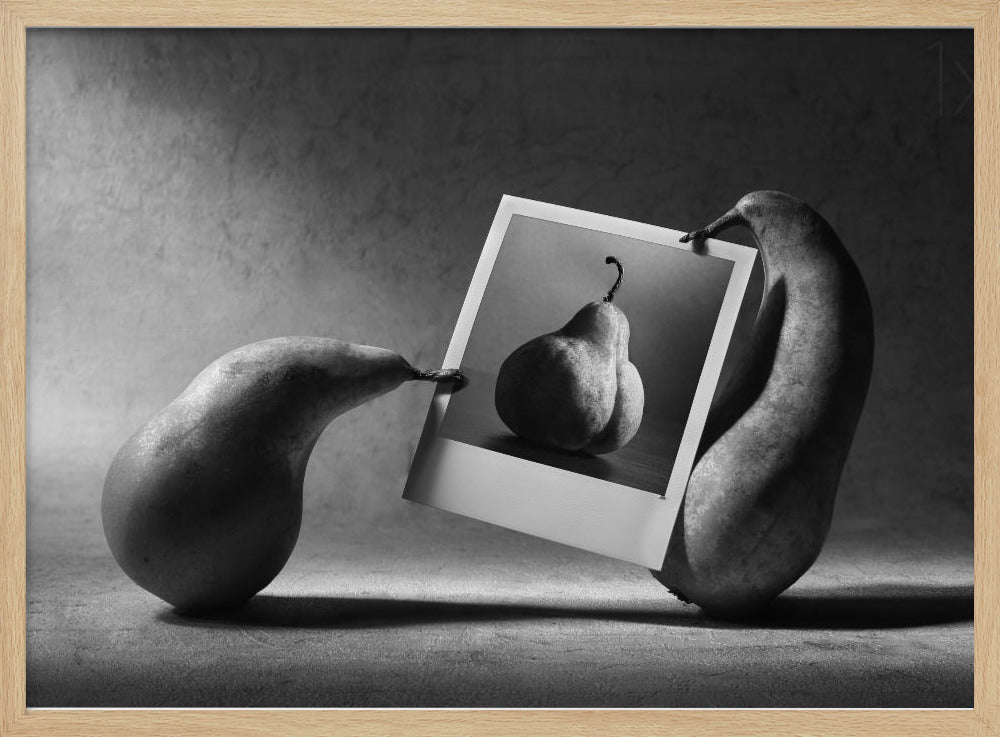 Dammelo ADESSO! | Poster - Stampe d’Arte
