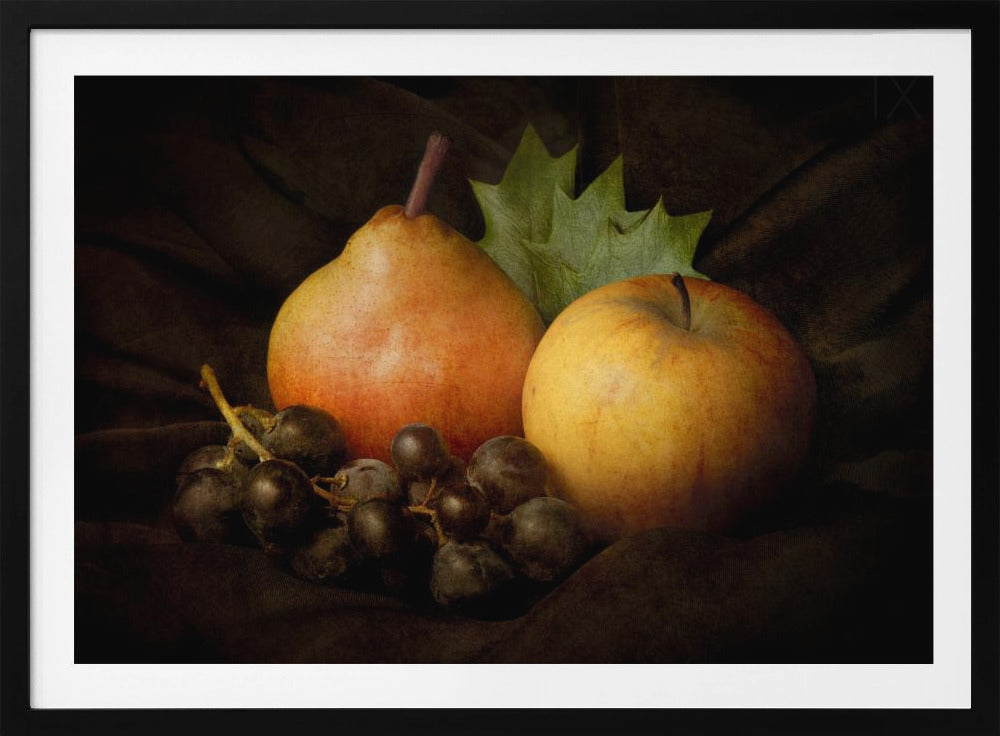 Natures mortes #3 | Posters - Affiche Artistique