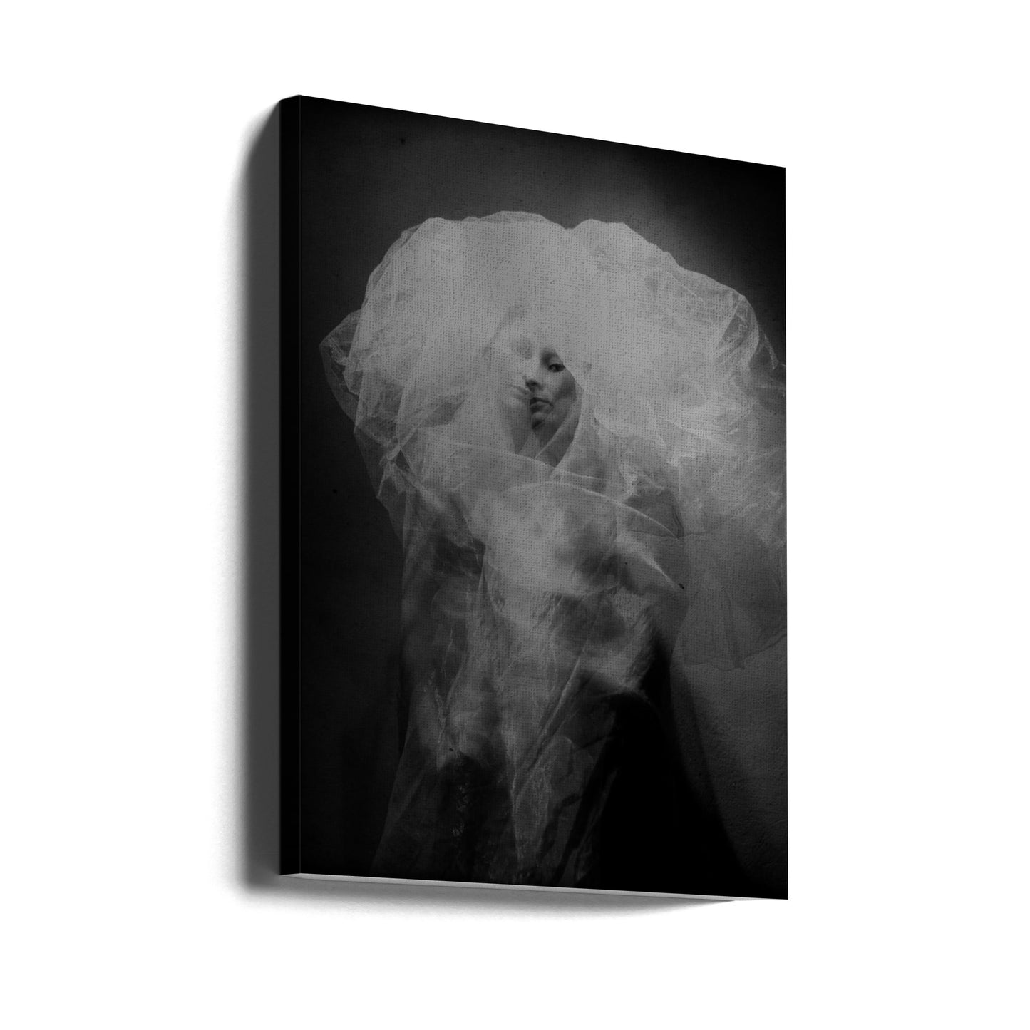 medusa | Lærredsbilleder