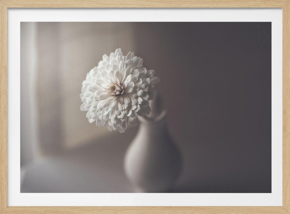 luce della finestra | Poster - Stampe d’Arte
