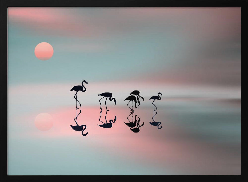 Flamencos en familia. Posters - Impresiones de Arte