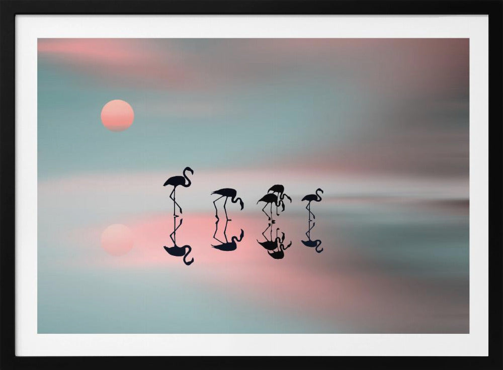 Flamencos en familia. Posters - Impresiones de Arte