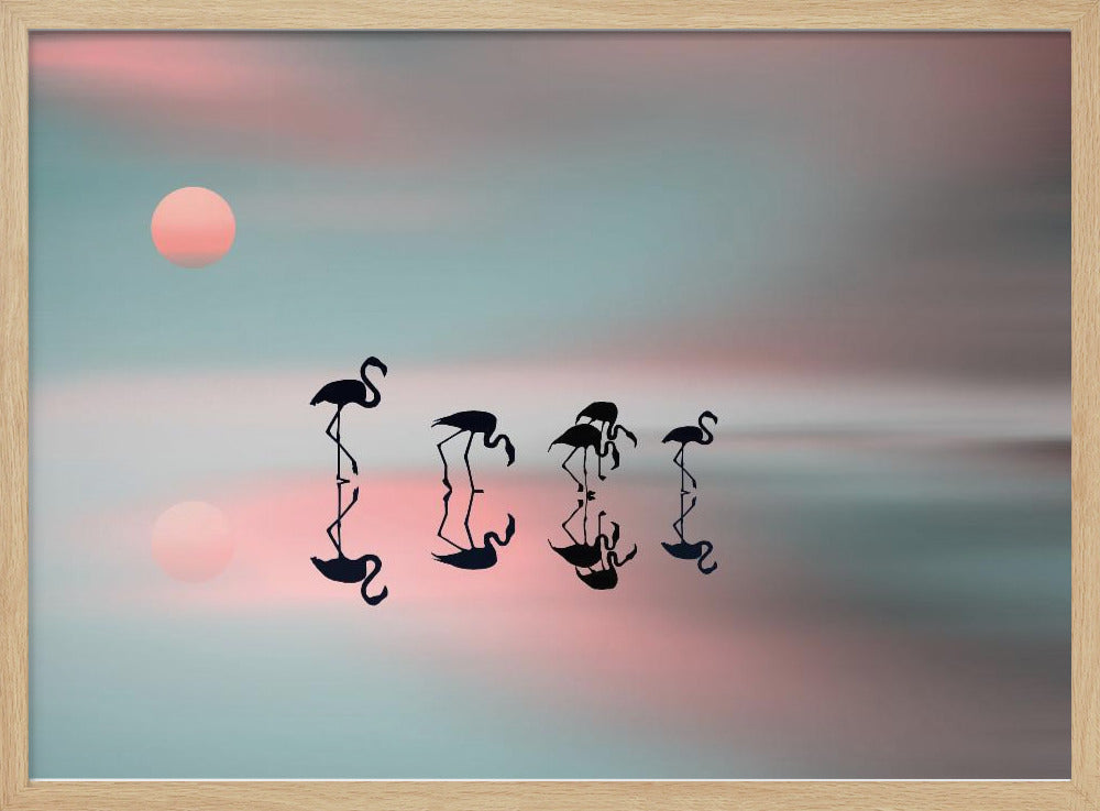 Flamencos en familia. Posters - Impresiones de Arte