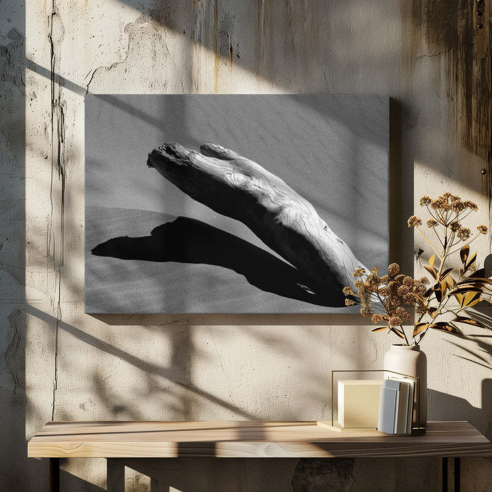 Daarom | Canvasprints