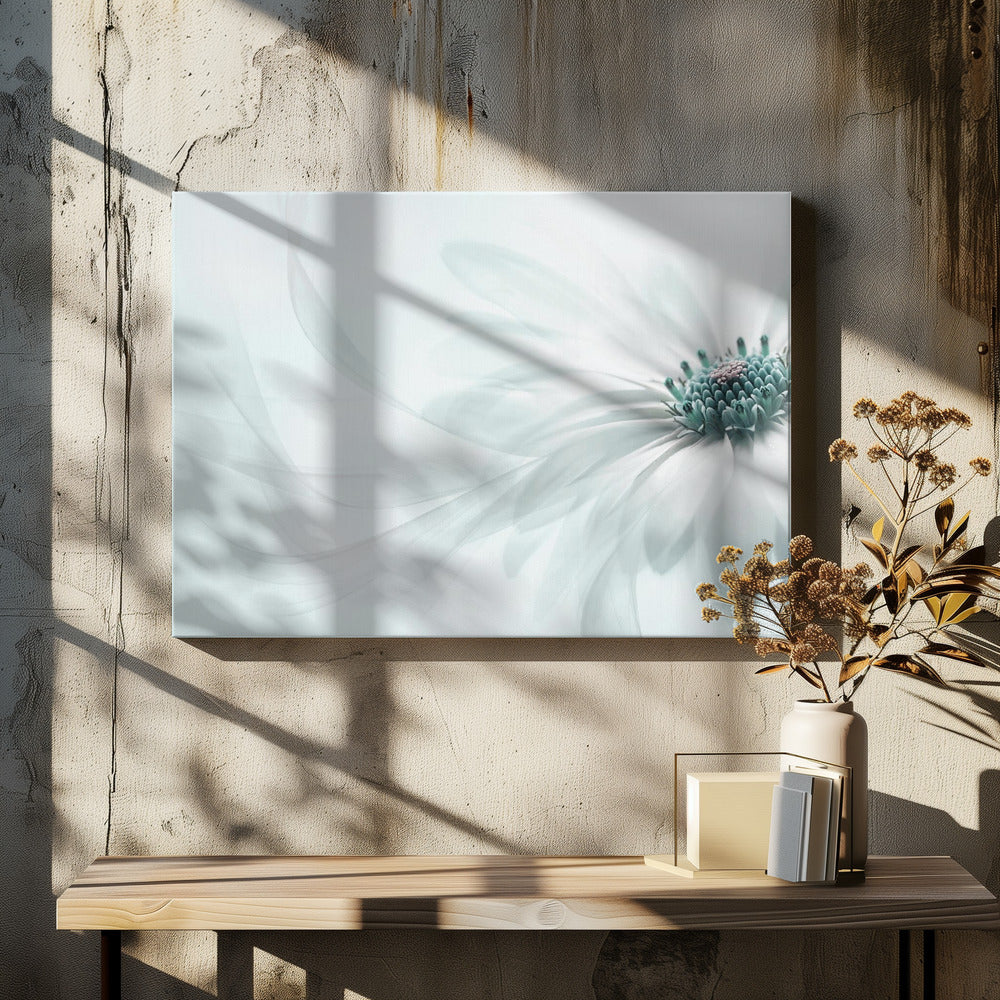 Purity | Canvas