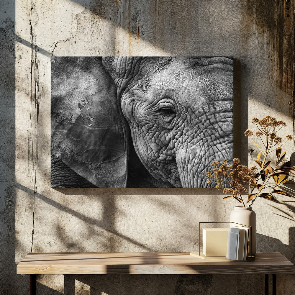 Peau d'éléphant | Tableaux sur Toile