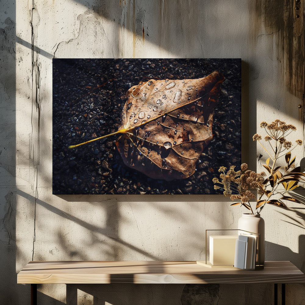 Leaf | Canvas