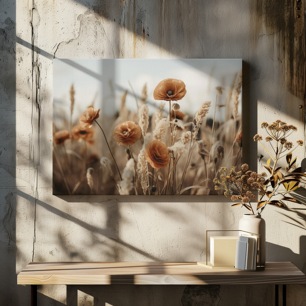 Oranje klaprozenveld | Canvasprints