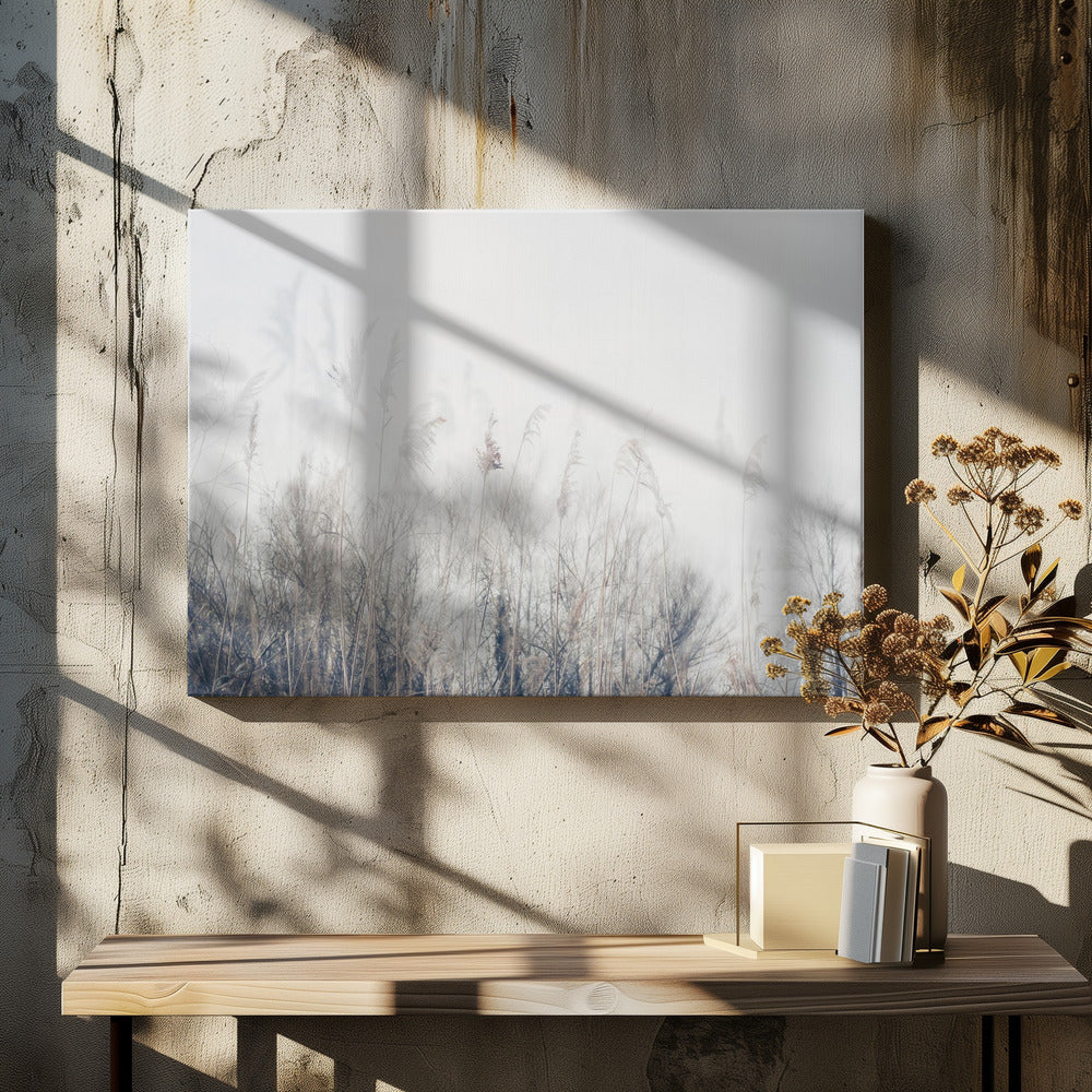 Landschap van riet en gras | Canvasprints