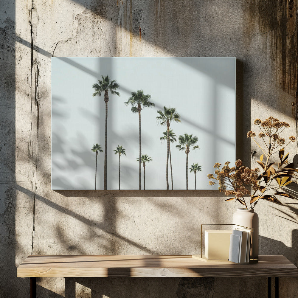 Cali Palms | Leinwand-Bilder