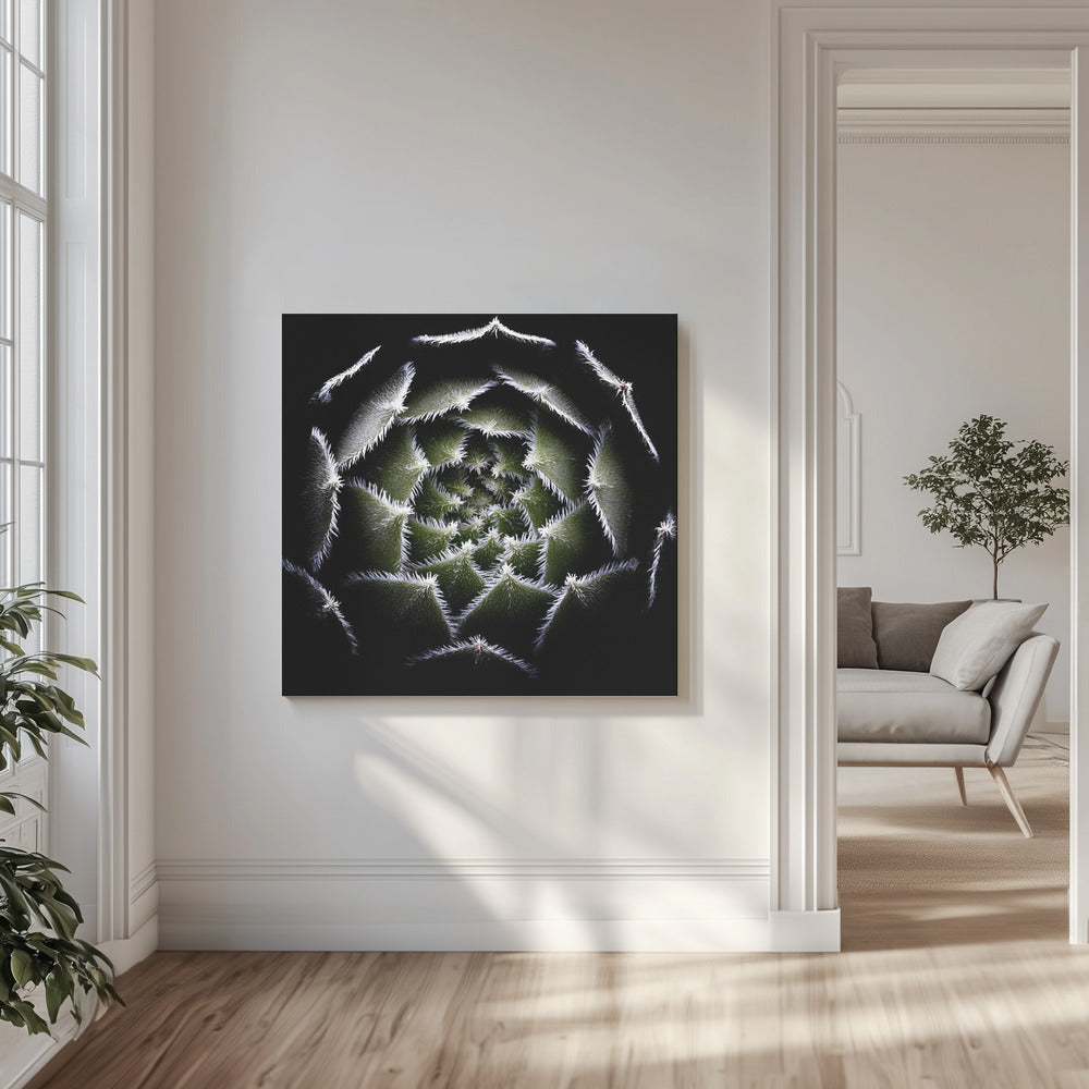 Sempervivum-roset | Lærredsbilleder