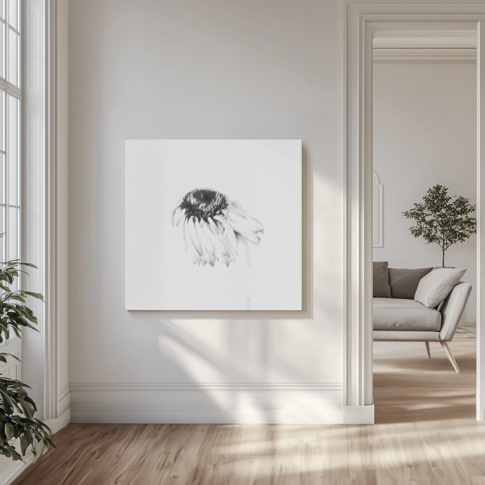 Fleur de mauvaise humeur | Tableaux sur Toile