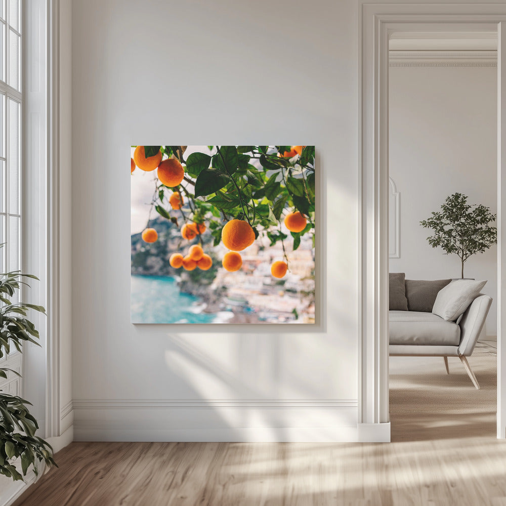 Orangen von der Amalfiküste | Leinwand-Bilder