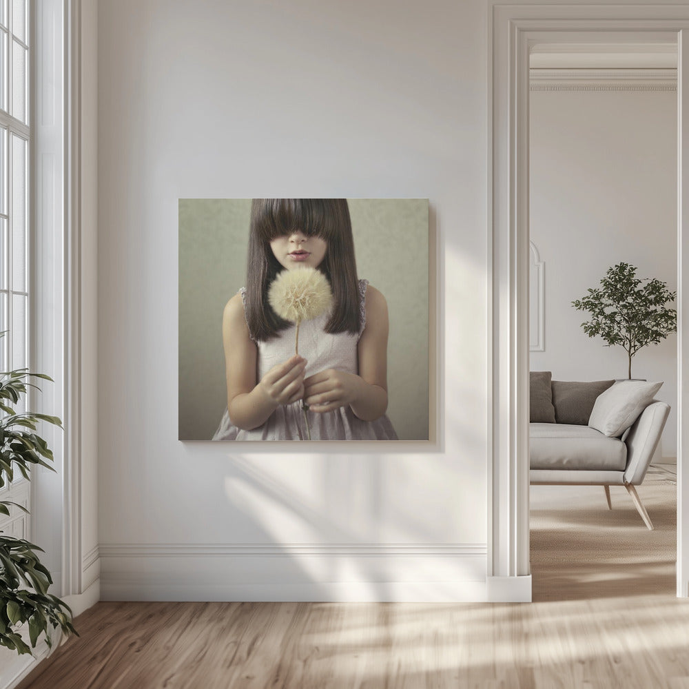 Secret Wishes | Canvas