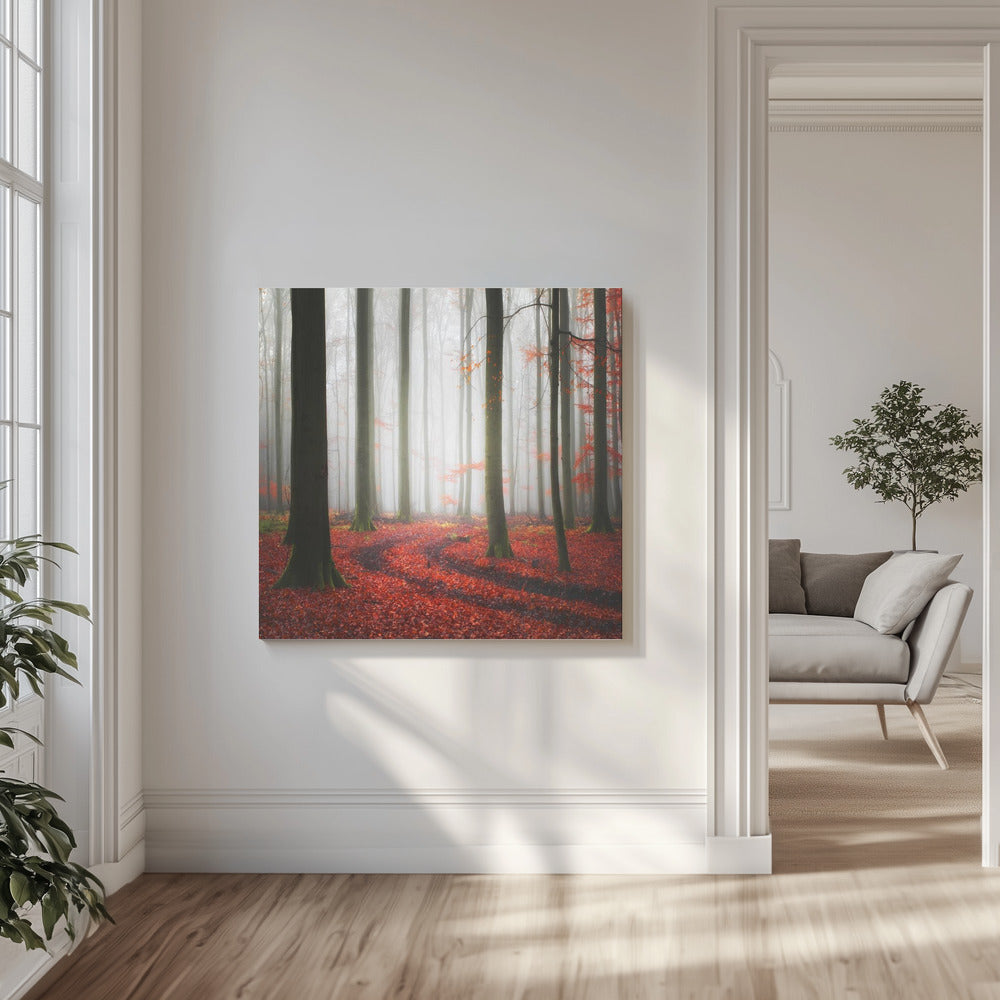 Herbstliche Spuren | Leinwand-Bilder