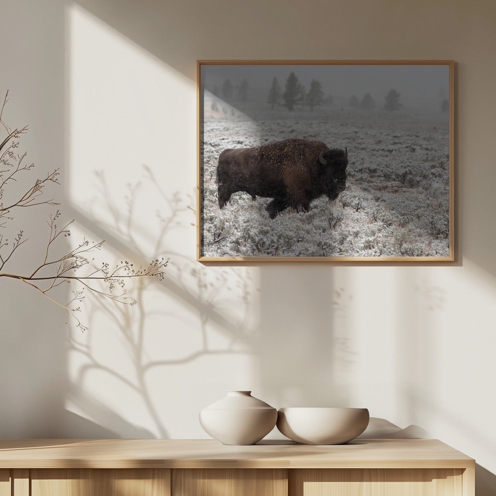Yellowstone a finales de otoño | Posters - Impresiones de Arte