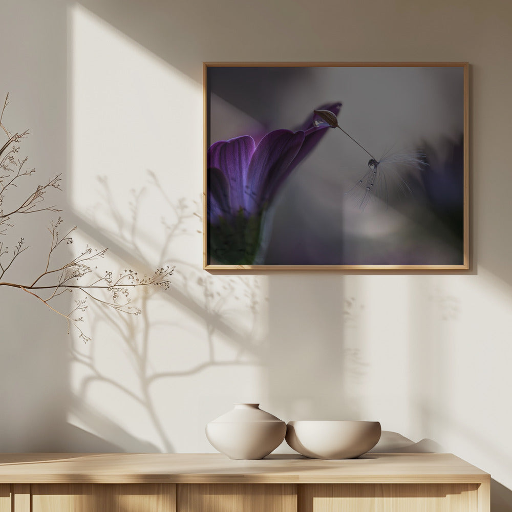 Lila Regen | Poster - Kunstdruck