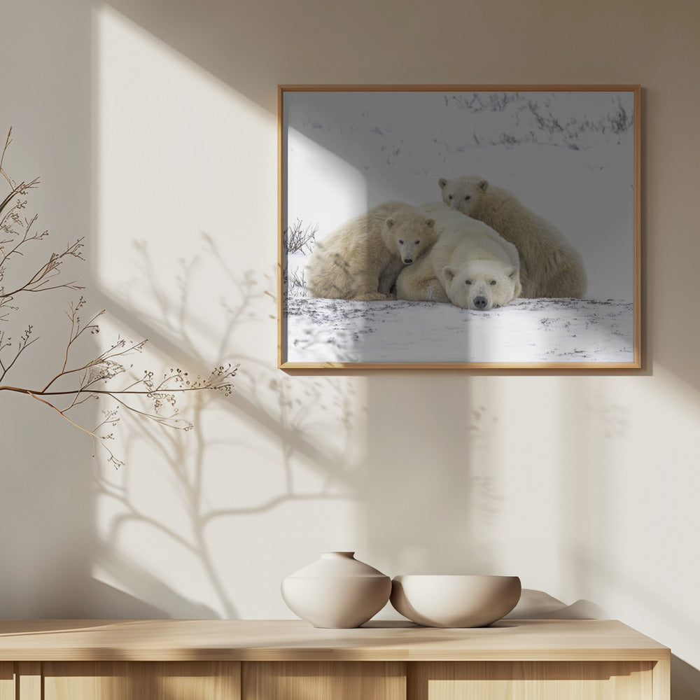 Family Portrait Snowing 8455 | Poster