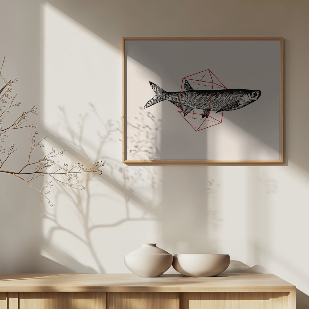 Fish In Geometrics Nº2 | Poster
